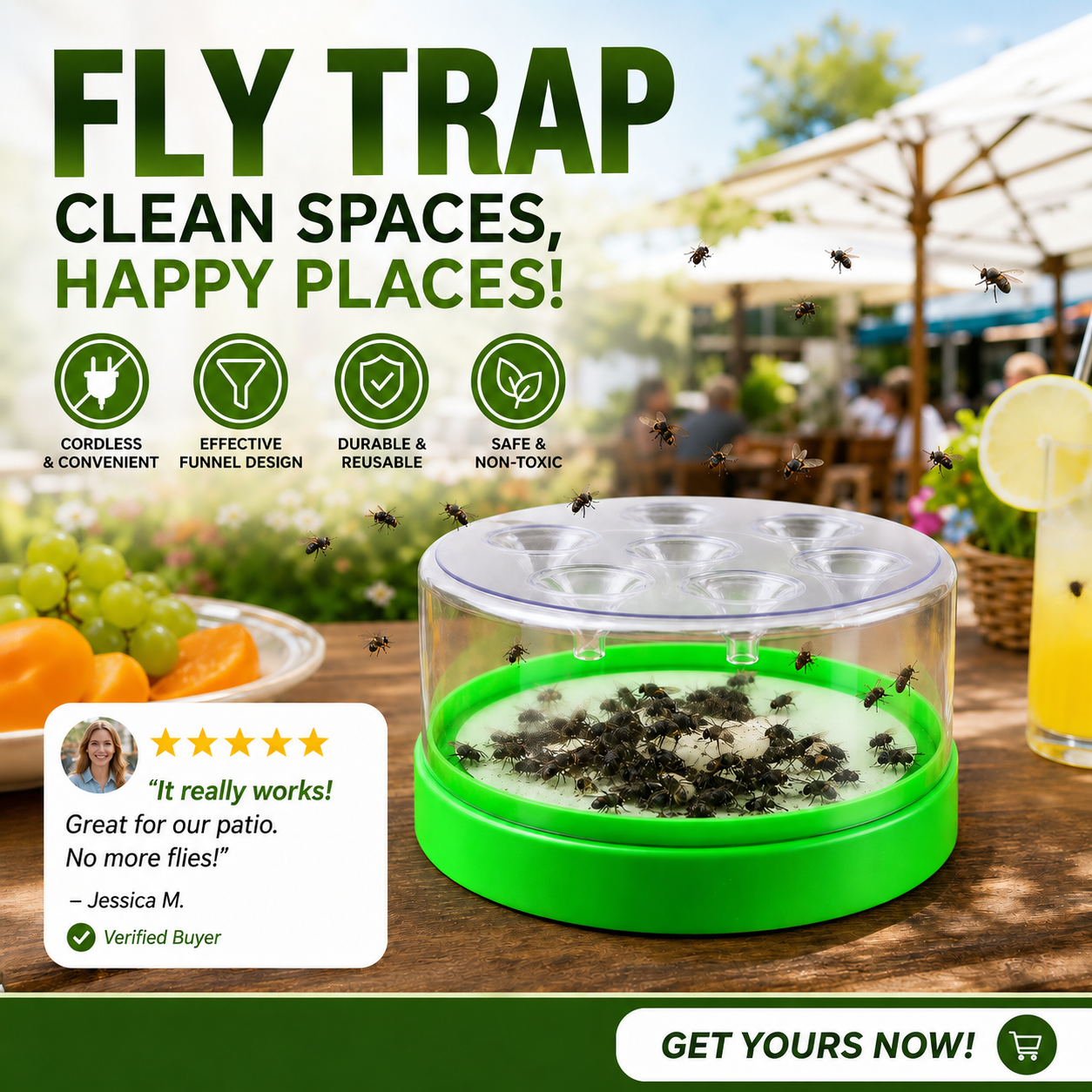 Stop Flies Without Electricity