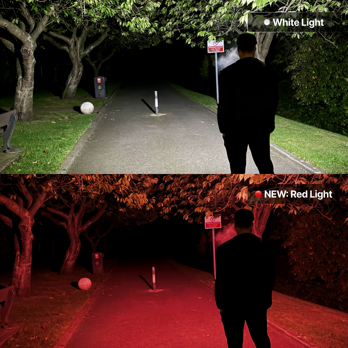 Luxelight™ LED Headlamp — Limited Edition Color Collection