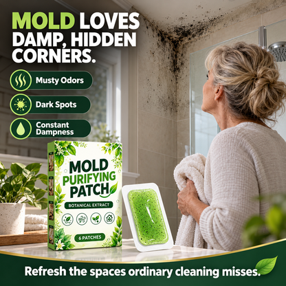 💧 6 Pieces Mold Removal Patches for Household Walls Kitchen and Bathroom Mildew Purification Pads✨